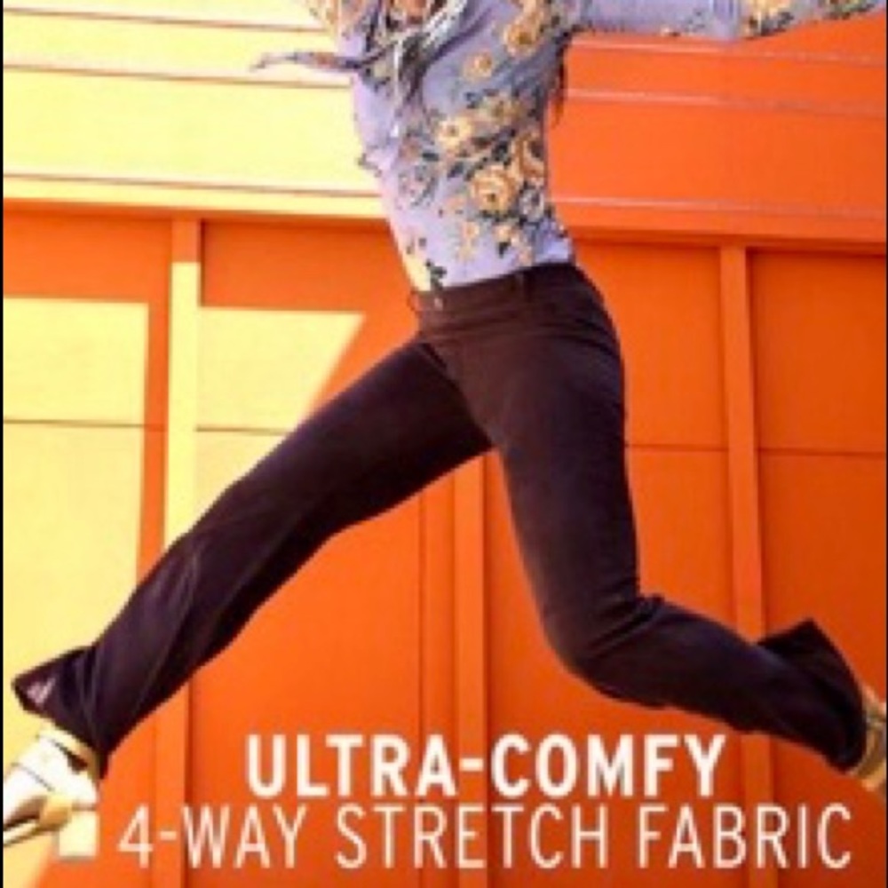 BetaBrand Womens Brown Dress Casual Pants 2XL LONG